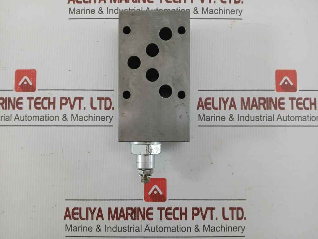 Wandfluh Hydraulic Valve 160 Bar Bvasa10-a-160
