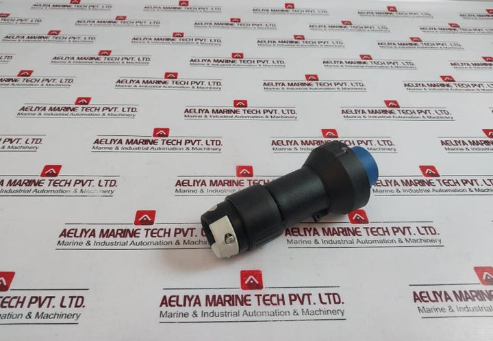 Warom Bcz8060-16 Explosion-proof Plug, 16A, Ac200-250V, Ip66