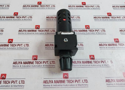 Warren Rupp 020-051-000 Filter/Regulator 150 Psi/10 Bar