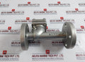 Warren Sw-ch Stainless Steel Swing Check Valve 4 Bolt Flanged End Dn 25