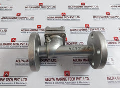 Warren Sw-ch Stainless Steel Swing Check Valve 4 Bolt Flanged End Dn 25
