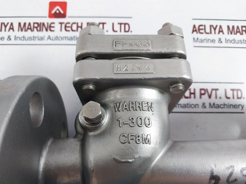 Warren Sw-ch Stainless Steel Swing Check Valve 4 Bolt Flanged End Dn 25