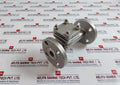 Warren Sw-ch Stainless Steel Swing Check Valve 4 Bolt Flanged End Dn 25