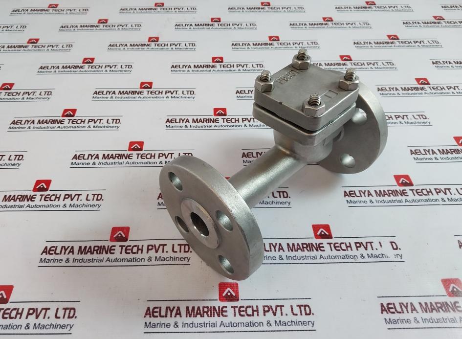 Warren Sw-ch Stainless Steel Swing Check Valve 4 Bolt Flanged End Dn 25