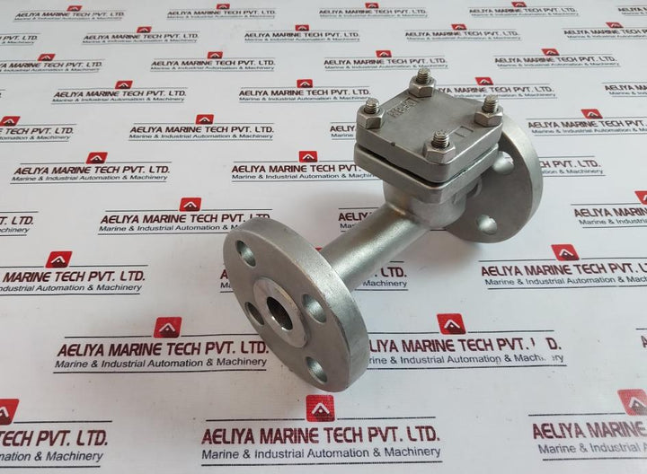 Warren Sw-ch Stainless Steel Swing Check Valve 4 Bolt Flanged End Dn 25
