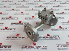 Warren Sw-ch Stainless Steel Swing Check Valve 4 Bolt Flanged End Dn 25