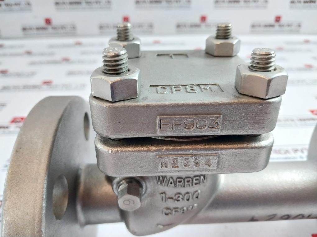 Warren Sw-ch Stainless Steel Swing Check Valve 4 Bolt Flanged End Dn 25