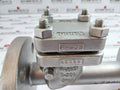Warren Sw-ch Stainless Steel Swing Check Valve 4 Bolt Flanged End Dn 25