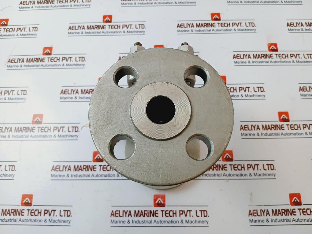 Warren SW-CH Stainless Steel Swing Check Valve DN25 Body CF8M Class 300 Size: 1