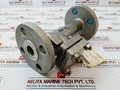 Warren SW-CH Stainless Steel Swing Check Valve DN25 Body CF8M Class 300 Size: 1