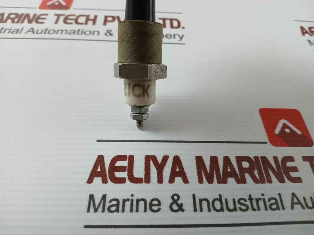 Warrick Ground Electrode