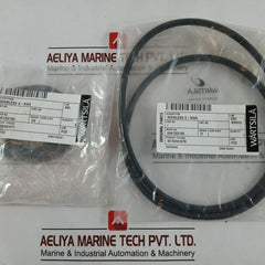 Wartsila 4C18/H01678 Packing Seal &amp; O-ring Maintenance Kit 0041302160