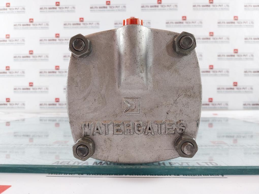 Watergates Dn 100 Knife Gate Valve With Pneumatic Actuator 230v/60hz Scanship