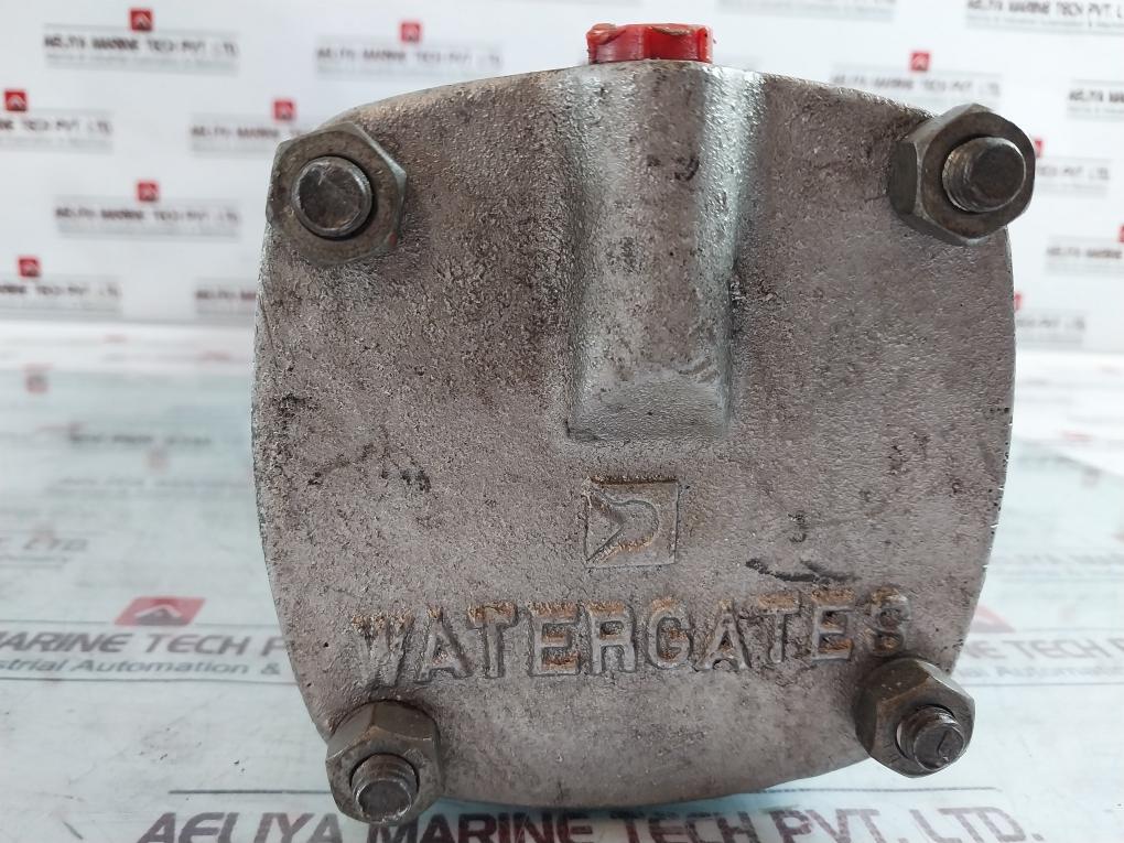 Watergates Dn100 Knife Gate Valve With Pneumatic Actuator Gg25