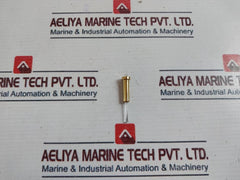 Waters 700007339 Piston Assy, S 1500 & High Flow 24ml/min