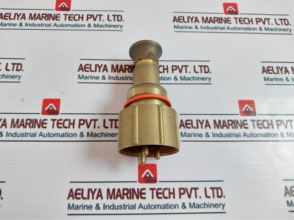 Watertight Plug 250V