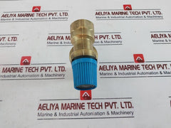 Watts Cw617n 1/2" X 3/4" F/f Type Sv Pressure Relief Valve 6 Bar