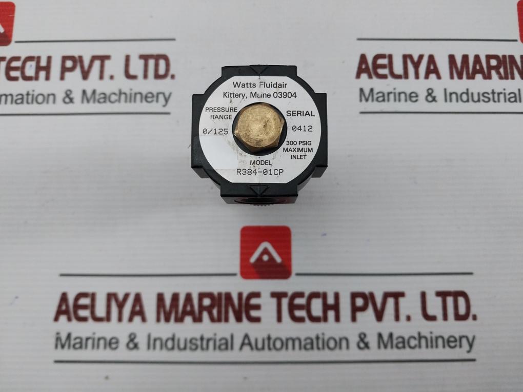 Watts Fluidair R384-01Cp Pressure Regulator 0-125Psi