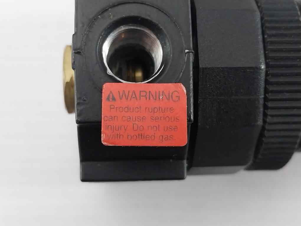 Watts Fluidair R384-01Cp Pressure Regulator 0-125Psi