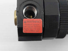 Watts Fluidair R384-01Cp Pressure Regulator 0-125Psi