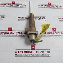 Watts M15 Reseating Temperature And Pressure Relief Valve 150 Psi