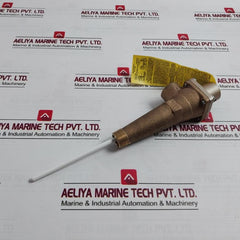 Watts M15 Reseating Temperature And Pressure Relief Valve 150 Psi