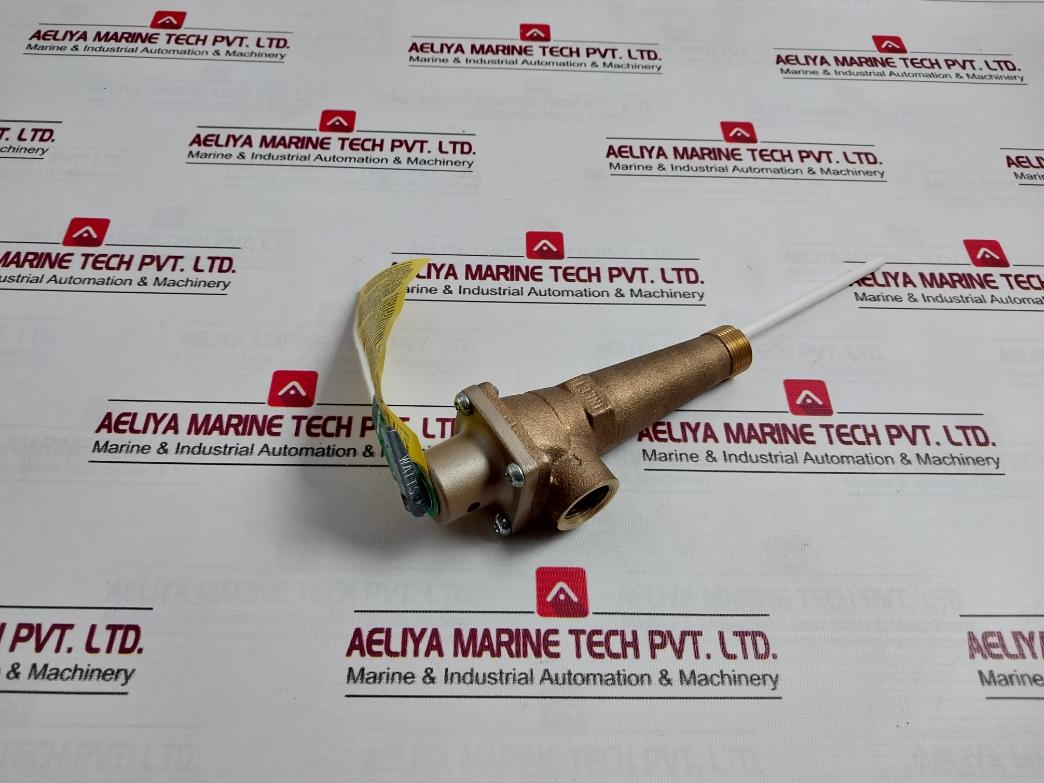 Watts M15 Reseating Temperature And Pressure Relief Valve 150 Psi