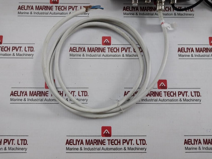 We503 Rice Lake Master Cable Length - 1.8M, 2.5M Belt Scale Integrator 230Vac