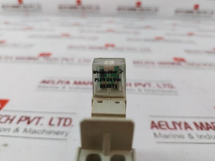 Weidmuller 8536691001 Solid State Relay Pled 24Vdc 853671 Pxz 35