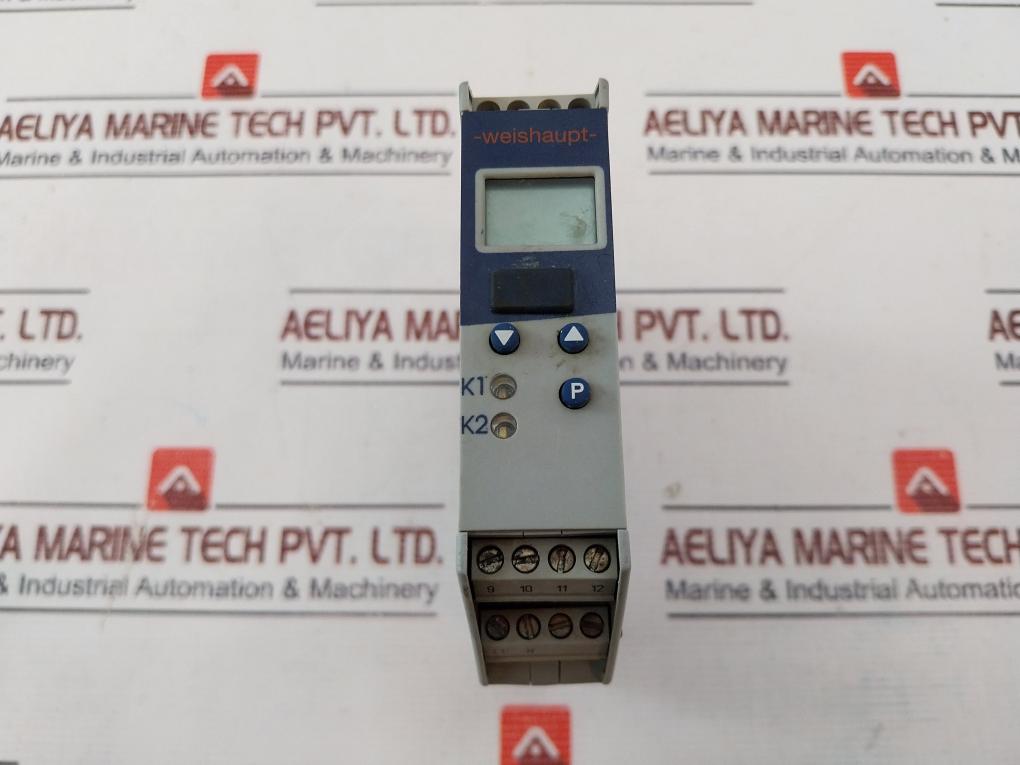 Weishaupt 702060/299-999-000-23/ Programmable Controller 691126