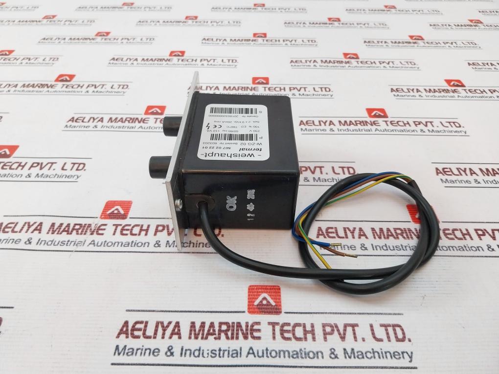 Weishaupt W-zg 02 Ignition Transformer