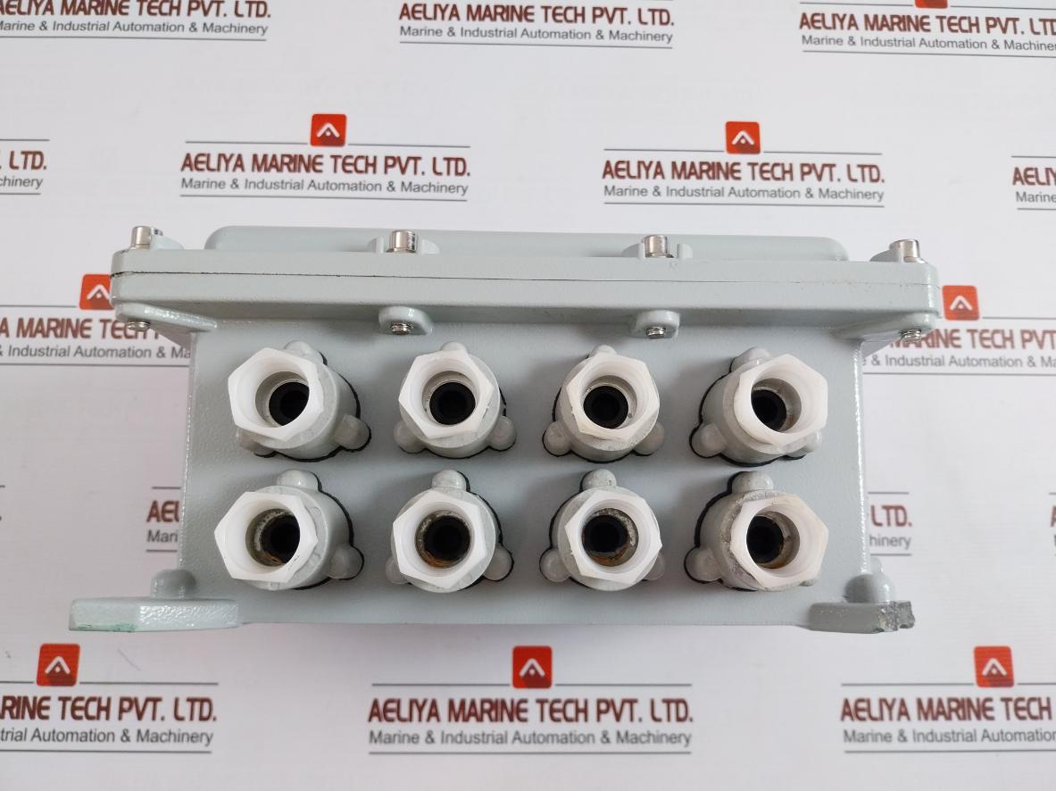 Wenzhou Qiming Bxk Explosion-proof Control Box 220/380V Ac