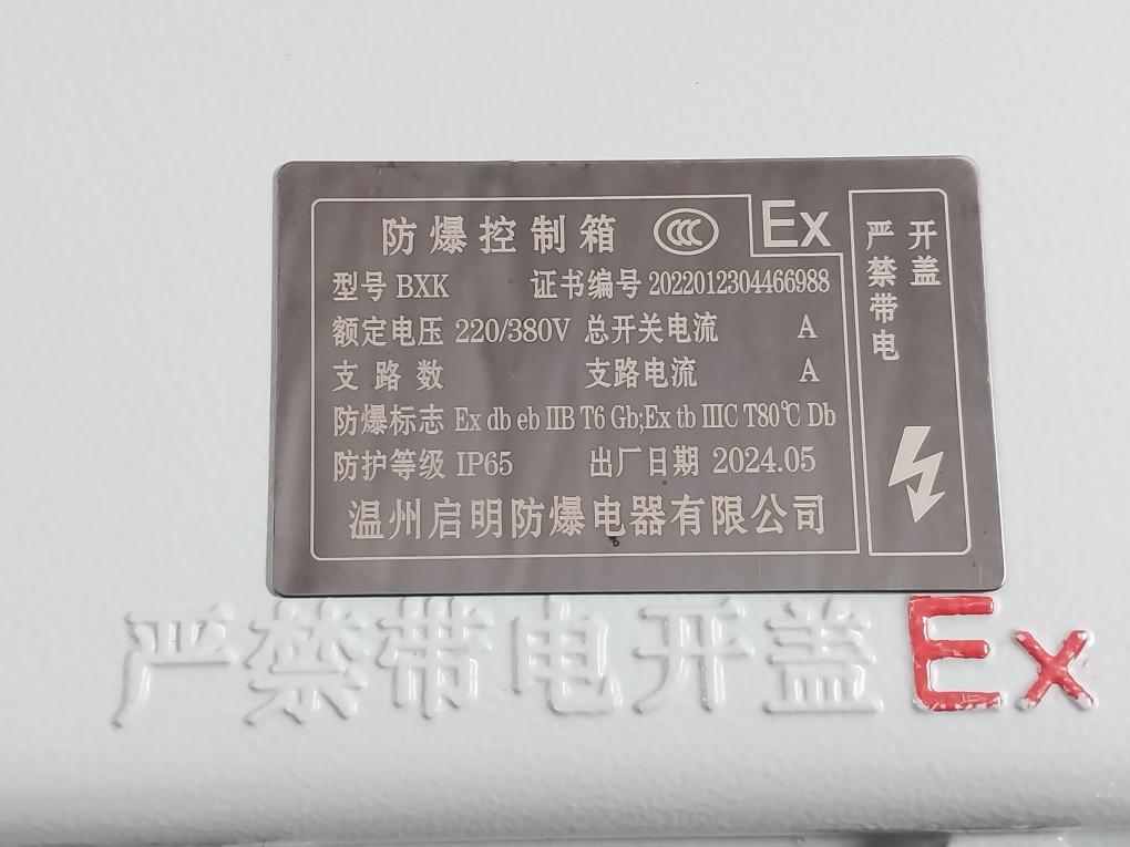 Wenzhou Qiming Bxk Explosion-proof Control Box 220/380V Ip65