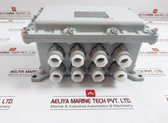 Wenzhou Qiming Bxk Explosion-proof Control Box 220/380V Ip65