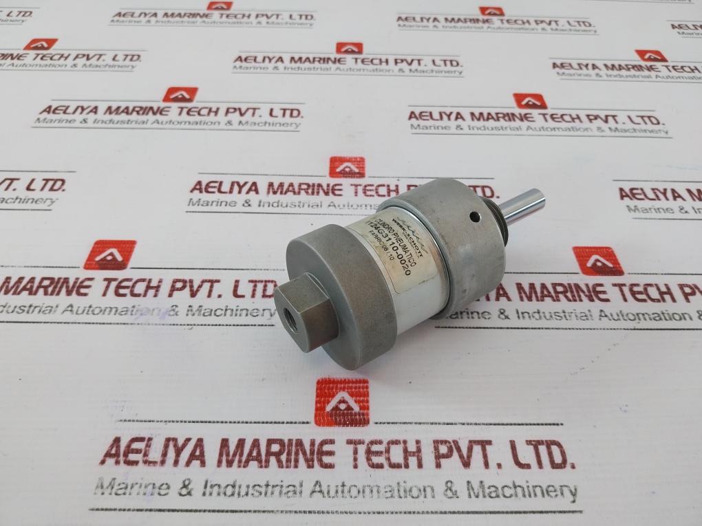Werk-schott Pneumatica 1124G3110-0020 Pneumatic Cylinder