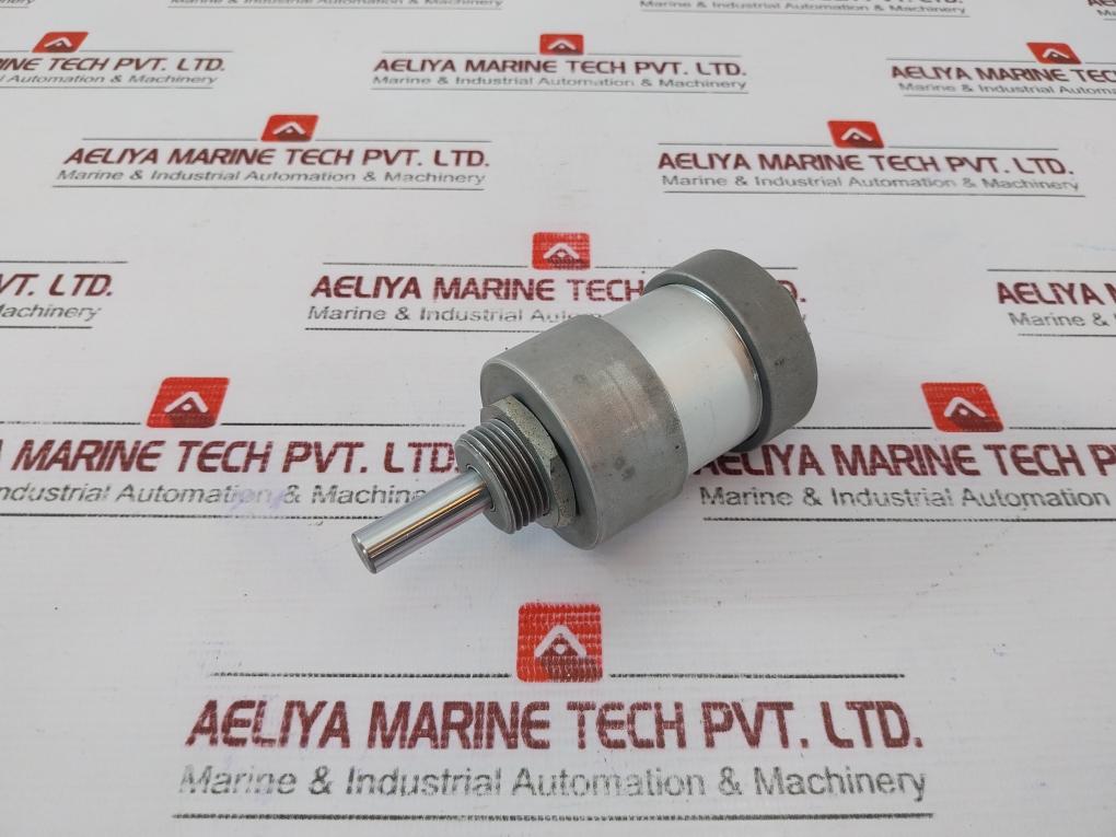 Werk-schott Pneumatica 1124G3110-0020 Pneumatic Cylinder