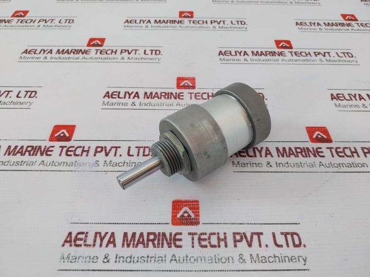 Werk-schott Pneumatica 1124G3110-0020 Pneumatic Cylinder