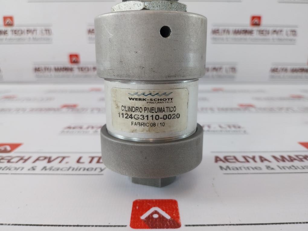 Werk-schott Pneumatica 1124G3110-0020 Pneumatic Cylinder