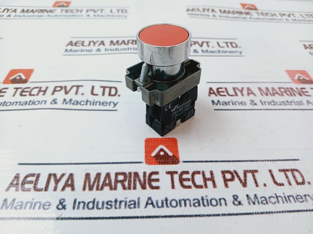 Westhomes Xb2-ba42 Self-Reset Flush Push Button Switch 10a 600v