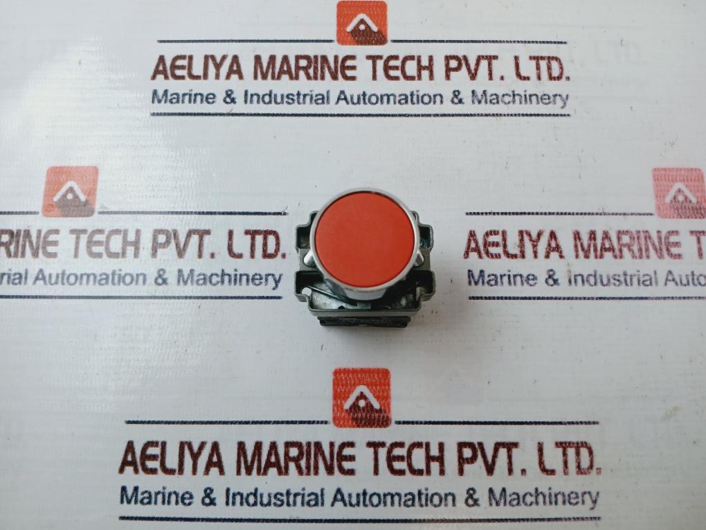 Westhomes Xb2-ba42 Self-Reset Flush Push Button Switch 10a 600v