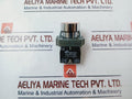 Westhomes Xb2-ba42 Self-Reset Flush Push Button Switch 10a 600v