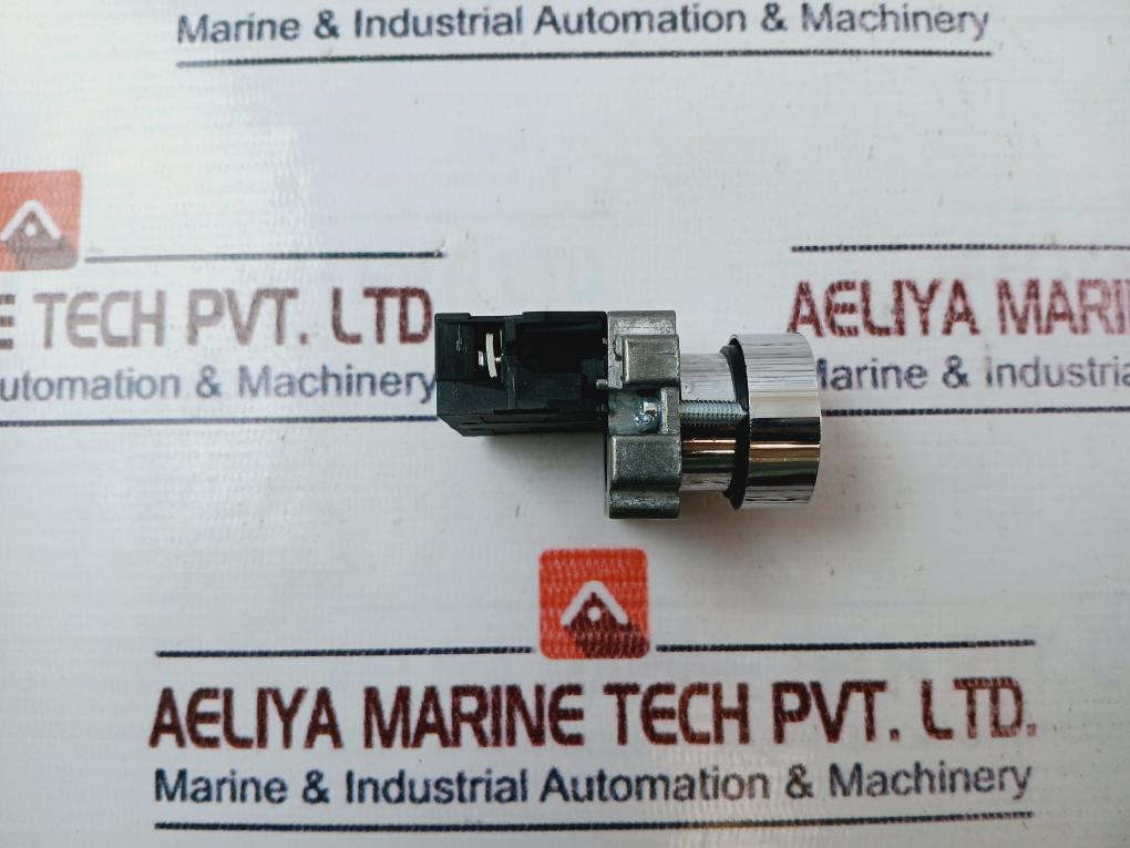 Westhomes Xb2-ba42 Self-Reset Flush Push Button Switch 10a 600v