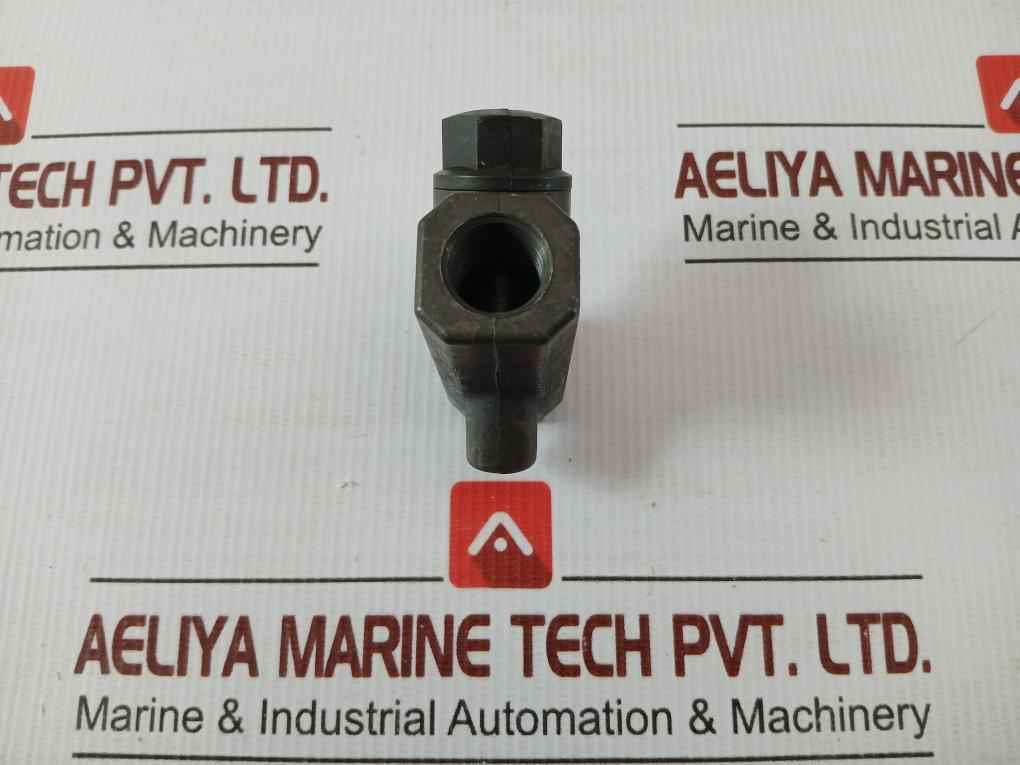 Westinghouse Check Valve P55025