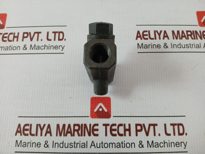 Westinghouse Check Valve P55025