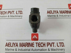 Westinghouse Check Valve P55025