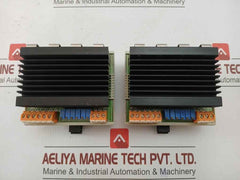 Wieland Terminal Module Web 1002