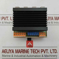 Wieland Terminal Module Web 1002