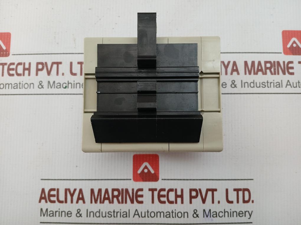 Wieland Terminal Module Web 1002