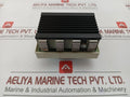 Wieland Terminal Module Web 1002