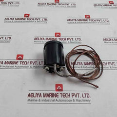 Wika 12389413 Temperature Control Switch 2.5 Meter